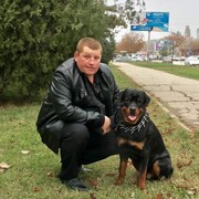 ���������� ��������, ���� ������� ������, 34 ����, ������������ ��� c�������� ���������