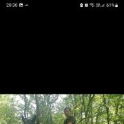 ���������� ���������, ���� ������� �����, 42 ����, ������������ ��� ������, ����� � ���������