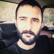  ,  porc, 29