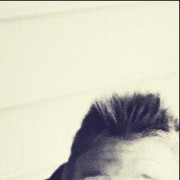  -,   , 27 ,   ,   , c 