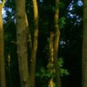  ,   , 40 ,   ,   , c 