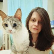 ���������� �������, �����