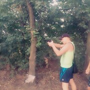 ���������� ������ ���, ���� ������� ������, 39 ���, ������������ ��� ������, ����� � ���������, c�������� ���������