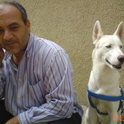 ���������� �������, ���� ������� Patrik, 48 ���, ������������ ��� ������