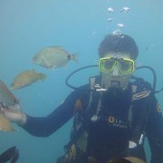 ���������� ����� �������, ���� ������� ��������, 40 ���, ������������ ��� ������, ����� � ���������, c�������� ���������