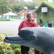 ���������� �����������, ���� ������� ������, 46 ���, ������������ ��� ����� � ���������, c�������� ���������