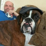 ���������� ���������, ������� �����, 51