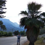  ,   Ruslan, 54 ,     , c 