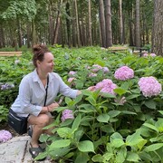  ,   , 43 ,   ,   , c , 