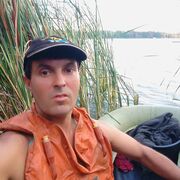 ���������� �����, ���� ������� �������, 44 ����, ������������ ��� ����� � ���������, c�������� ���������