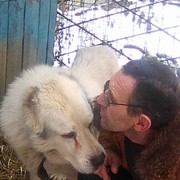  ,   , 56 ,   ,   , c , 