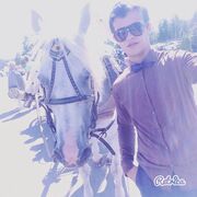 ���������� ���������� �����, ���� ������� �������, 31 ���, ������������ ��� ������, ����� � ���������, ���������