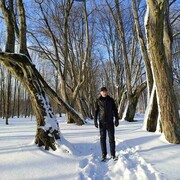 ���������� �����, ���� ������� �����, 43 ����, ������������ ��� ������, ����� � ���������