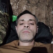  ,   FAYST, 36 ,     , c 