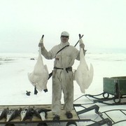 ���������� ����, ���� ������� ����, 41 ���, ������������ ��� ������, ����� � ���������, c�������� ���������