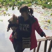 ���������� �����, ���� ������� �����, 60 ���, ������������ ��� ������, c�������� ���������, ���������