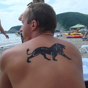 ���������� ����������� ����, ���� ������� ���������, 44 ����, ������������ ��� ������, ����� � ���������, c�������� ���������, ���������