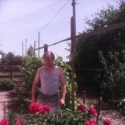  ,  slava, 49