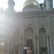 ���������� ���������, ���� ������� �����, 38 ���, ������������ ��� ����� � ���������, c�������� ���������