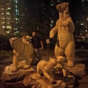 ���������� ������, ���� ������� �������, 39 ���, ������������ ��� ����� � ���������, c�������� ���������