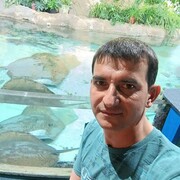  ,   , 45 ,   ,   
