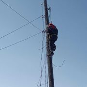 ���������� ���������, ���� ������� �����, 36 ���, ������������ ��� ������, ����� � ���������, c�������� ���������