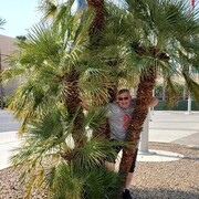 �������� )))