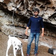 ,   , 33 ,     , c , 