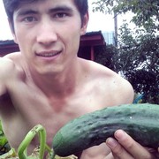 ���������� ������ ��������, ���� ������� �����, 33 ����, ������������ ��� ������, ����� � ���������, c�������� ���������