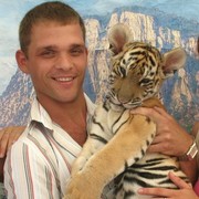 ���������� ������, ���� ������� �����, 44 ����, ������������ ��� ������, ����� � ���������, c�������� ���������