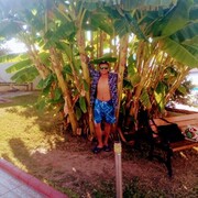 ���������� ����������, ���� ������� ���������, 40 ���, ������������ ��� ������, ����� � ���������