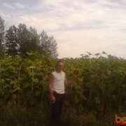  ,   , 56 ,   ,   , c 