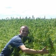  ,  viktor, 41