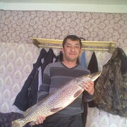 ���������� �������, ���� ������� ���������, 38 ���, ������������ ��� ������, ����� � ���������, c�������� ���������, ���������