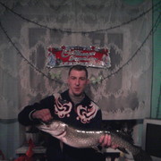 ���������� �����������, ���� ������� �������, 38 ���, ������������ ��� ������, ����� � ���������, c�������� ���������