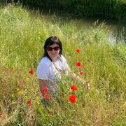  Jelcz,  Mila, 46