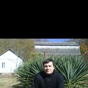 ���������� ���������, ���� ������� ���������, 41 ���, ������������ ��� ������, ����� � ���������, c�������� ���������