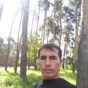 ���������� ���������, ���� ������� �����, 38 ���, ������������ ��� ������, ����� � ���������, c�������� ���������