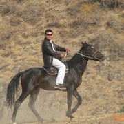  ,   BEK, 55 ,   ,   , c 