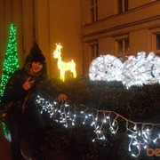 ���������� �����, ���� ������� �����, 30 ���, ������������ ��� ������