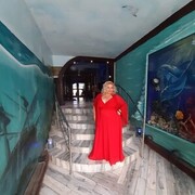 ,   , 44 ,   ,   
