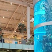 ���������� ������, ���� ������� Umed Ibodov, 35 ���, ������������ ��� ������, ����� � ���������