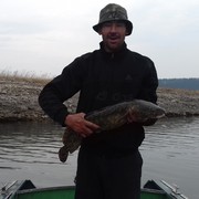 ���������� �������, ������� ����, 38