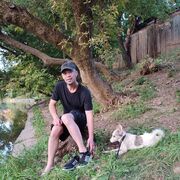 ���������� �����, ���� ������� ProNik, 44 ����, ������������ ��� ������, ����� � ���������, c�������� ���������