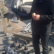 ���������� �������, ���� ������� ������, 32 ����, ������������ ��� ������, ����� � ���������, c�������� ���������