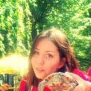 ���������� ������, ���� ������� Kitten, 35 ���, ������������ 