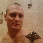 ���������� ��������, ���� ������� ����, 44 ����, ������������ ��� ������, ����� � ���������, c�������� ���������