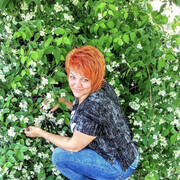 ���������� ���������, ���� ������� ˸��, 54 ����, ������������ ��� ������, ����� � ���������, c�������� ���������