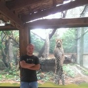  ,   , 38 ,   ,   , c 