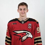 ���������� ����, ���� ����� ��������, 24 ����, ������������ ��� ����� � ���������, c�������� ���������